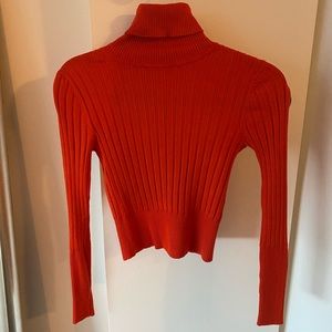 Zara Turtleneck